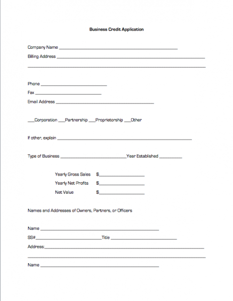 template for credit application